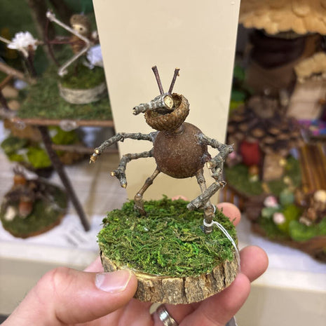 Assassin Bug