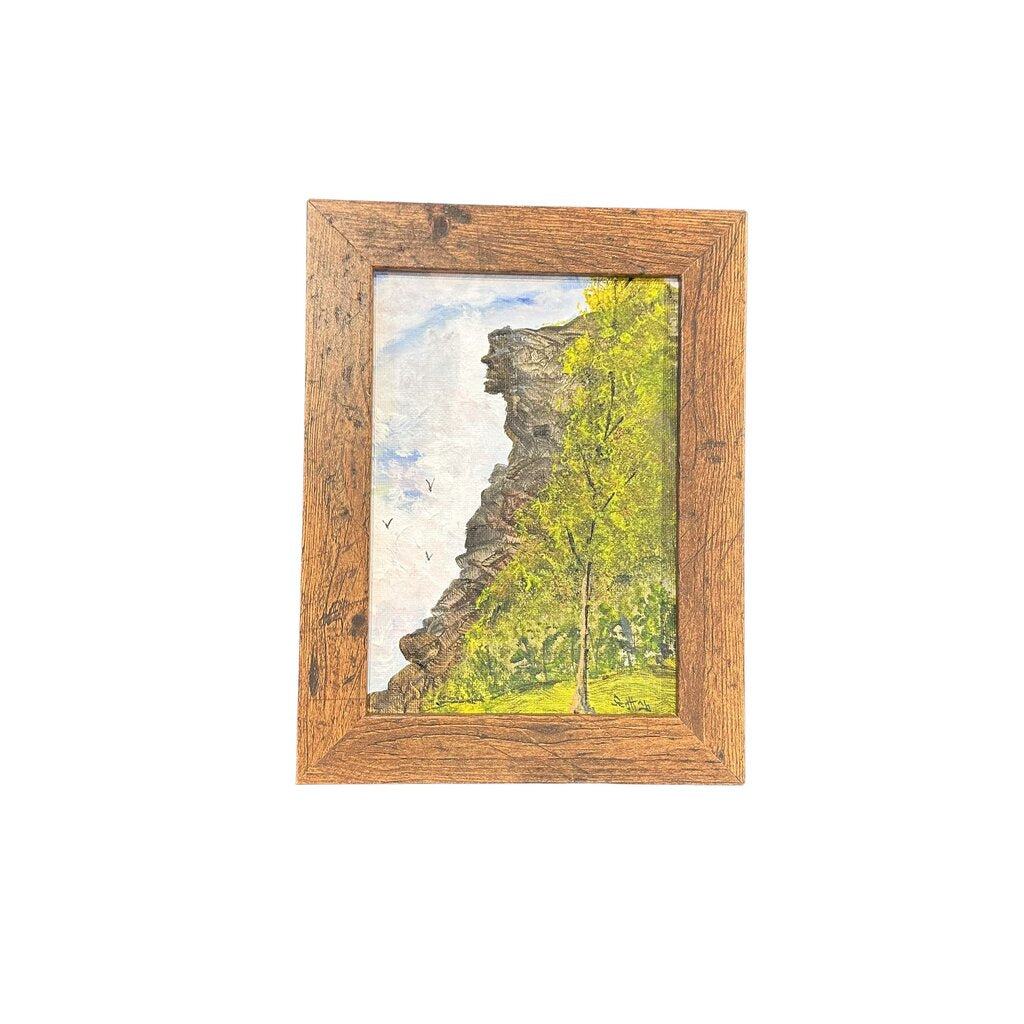 Man on the Mountain Small