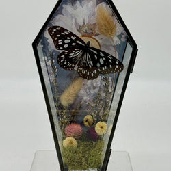 Butterfly Coffin Box - view 1