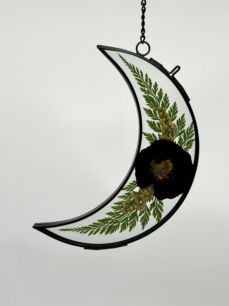 Black Large Moon