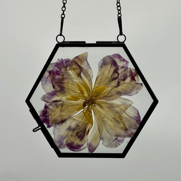 Hexagon Pressed Floral