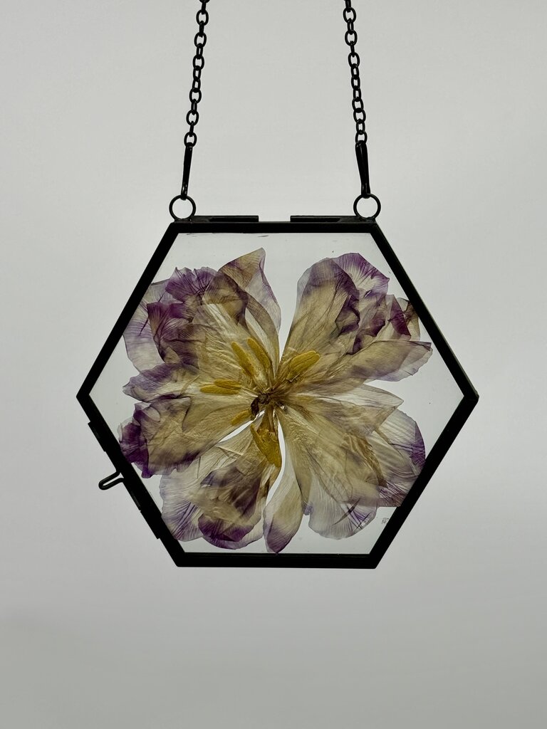Hexagon Pressed Floral