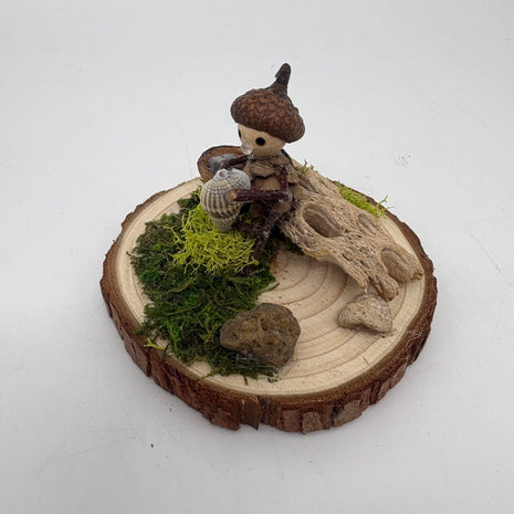 Shell Collector