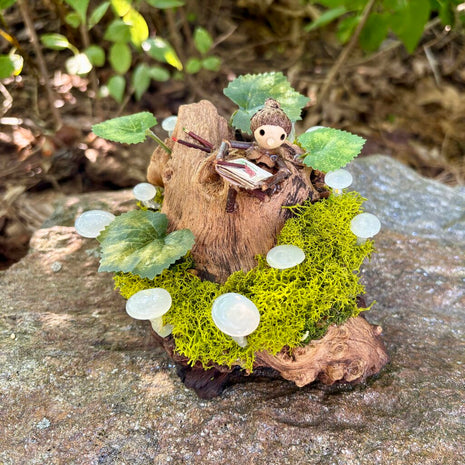 Night Light (Small)