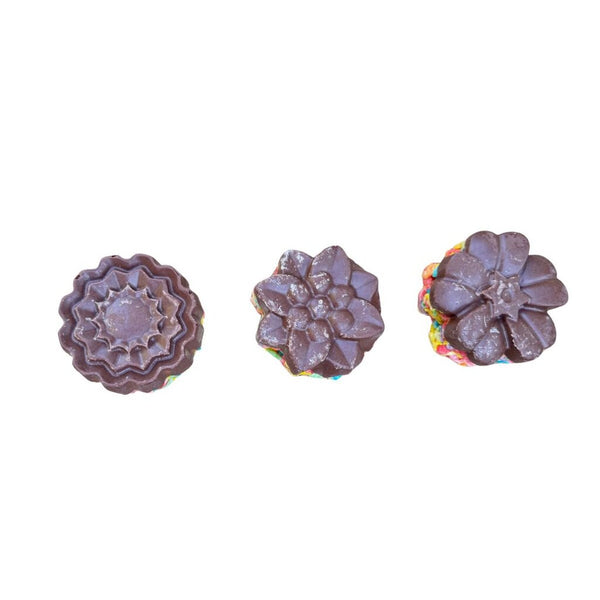 Milk Chocolate Fruity Rice Krispies Treat