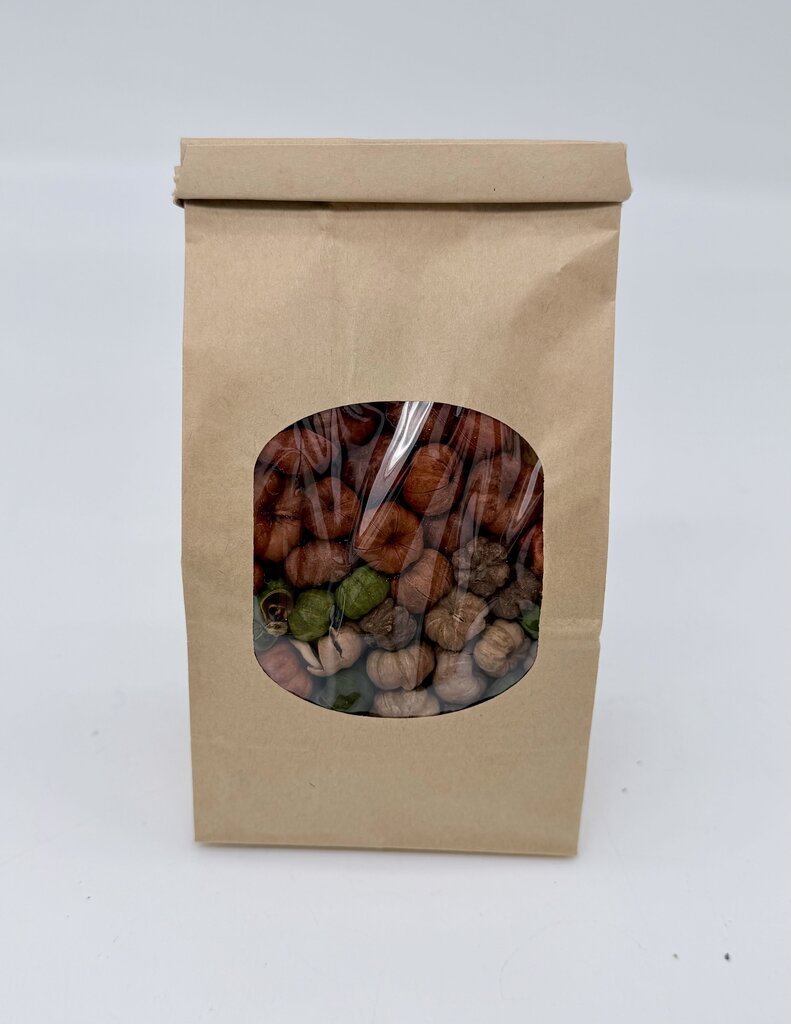 Mini pumpkins fall mix unscented 2c