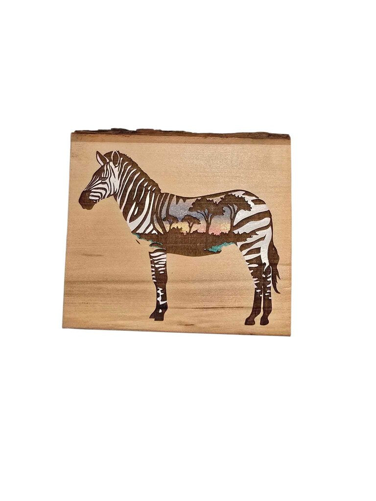 Zebra