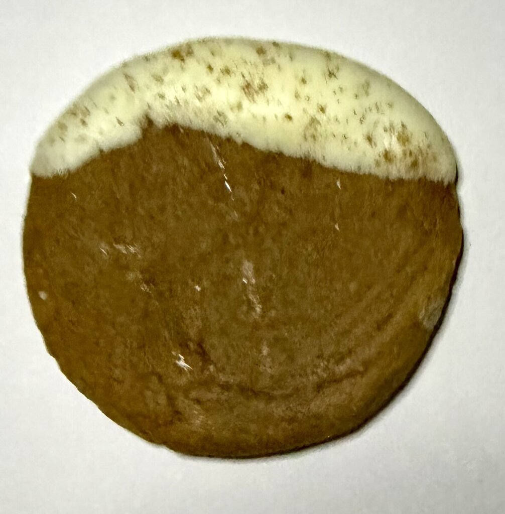 Gingerbread Latte