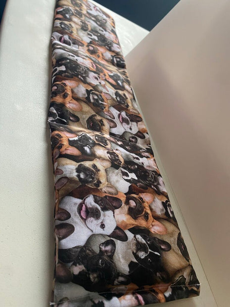 neck wrap frenchie