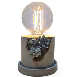 Succulent Lamp - view 1