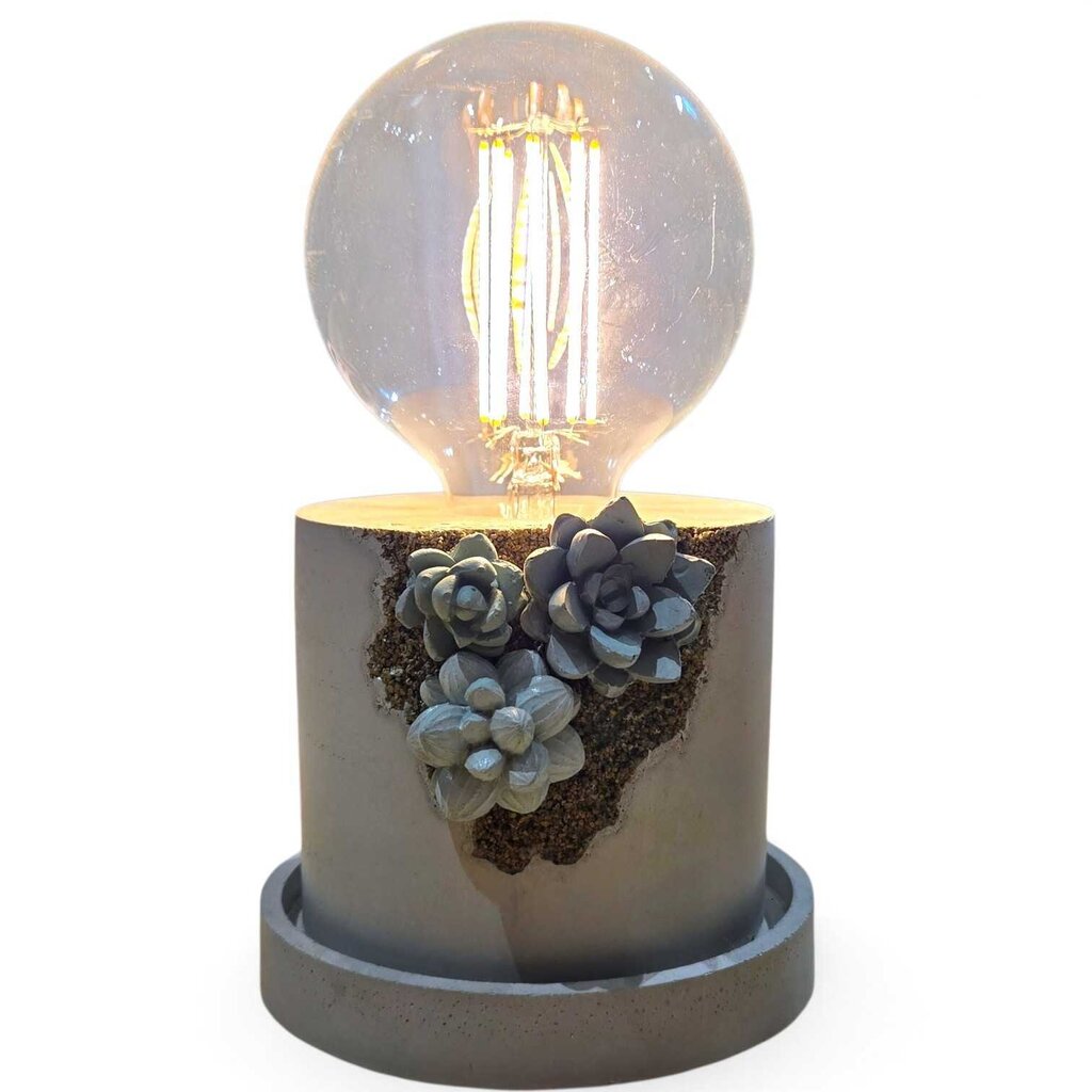 Succulent Lamp