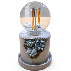 Succulent Lamp - view 2