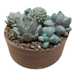Succulent Garden Container - view 1