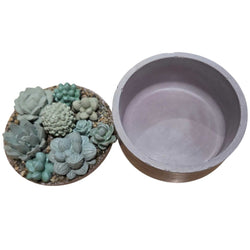 Succulent Garden Container - view 2
