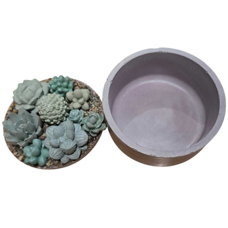 Succulent Garden Container