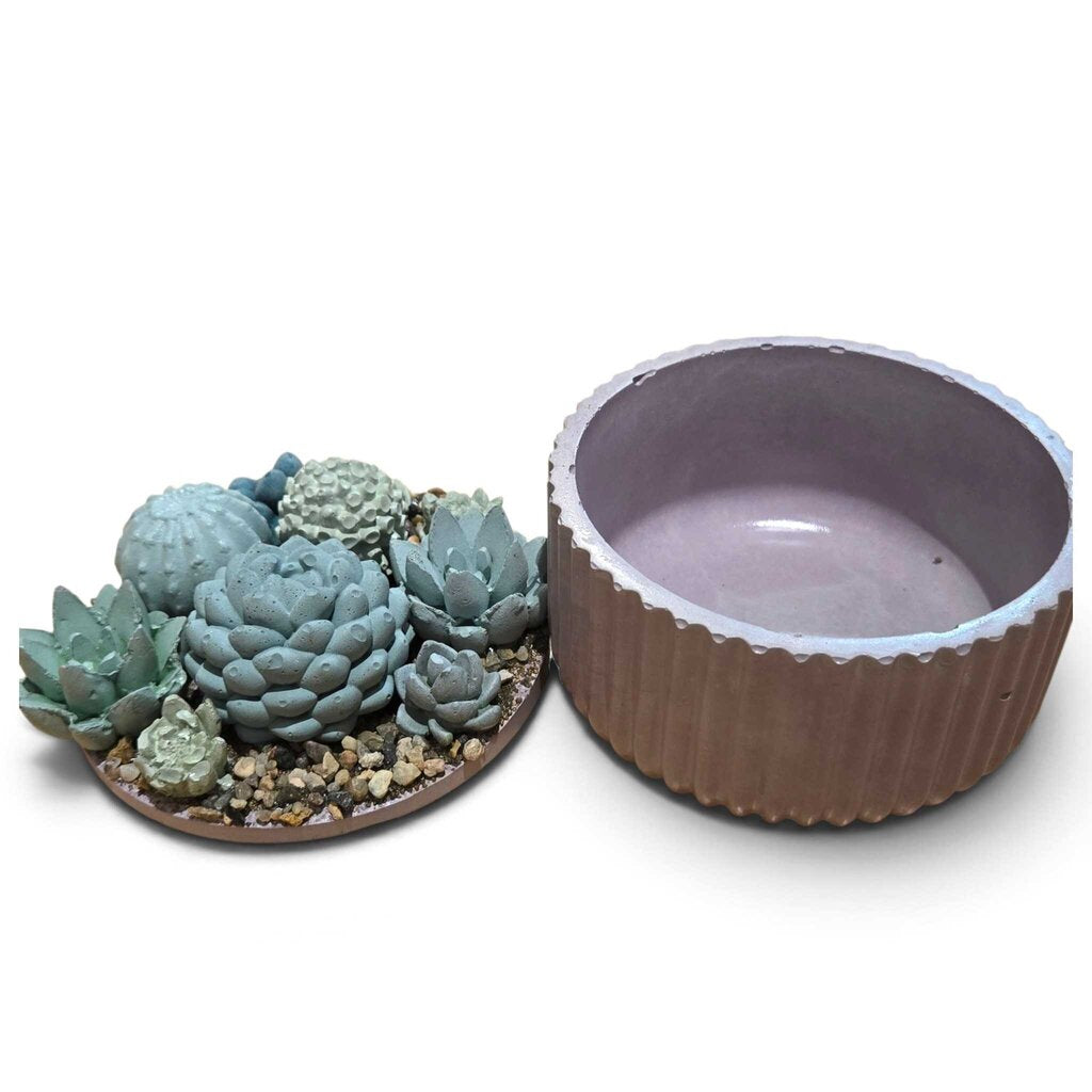 Succulent Garden Container