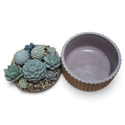 Succulent Garden Container - view 3