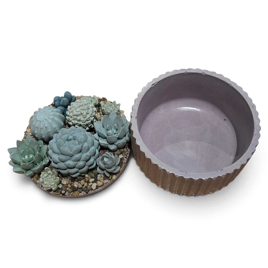 Succulent Garden Container