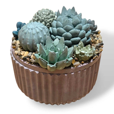 Succulent Garden Container