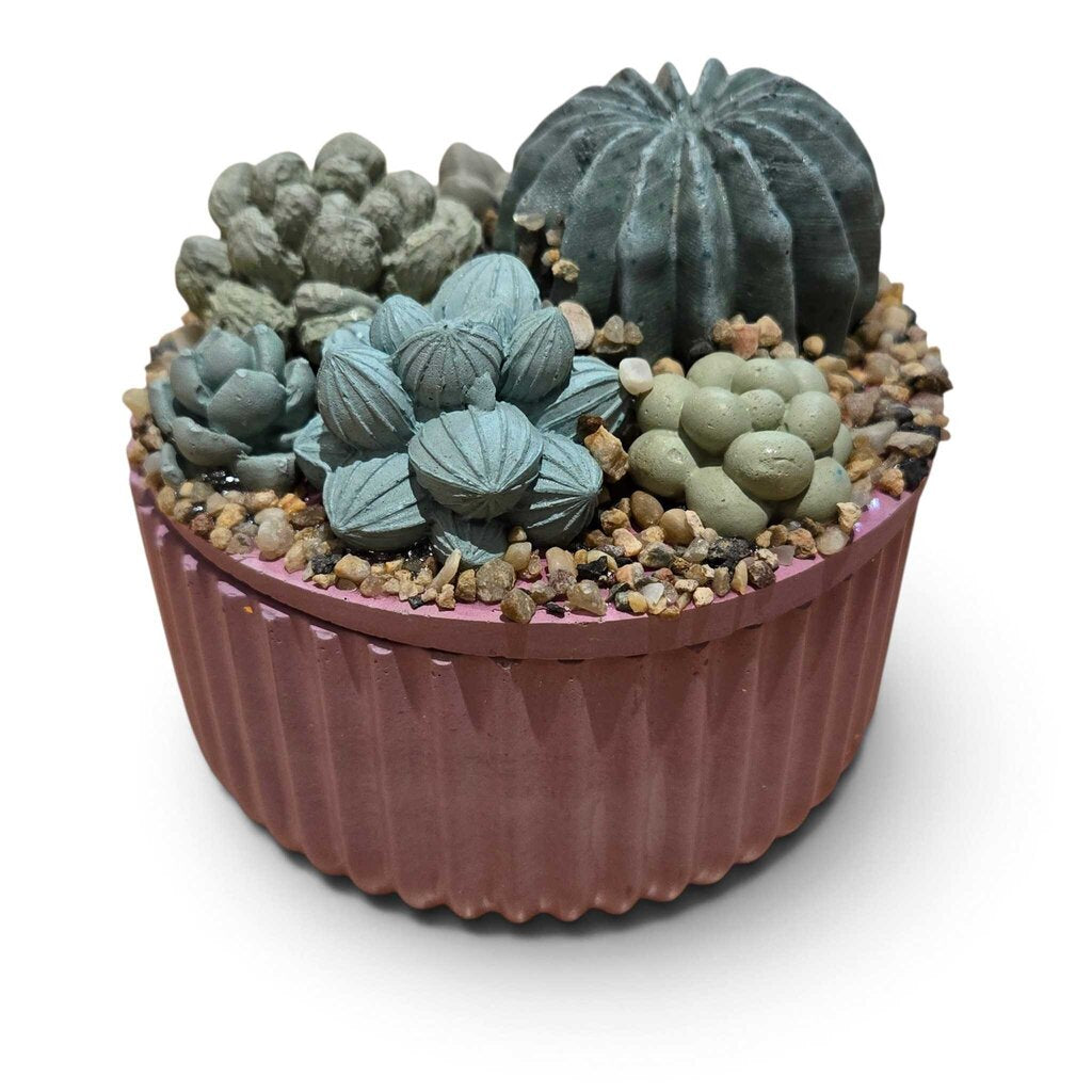 Succulent Garden Container