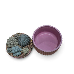 Succulent Garden Container - view 2
