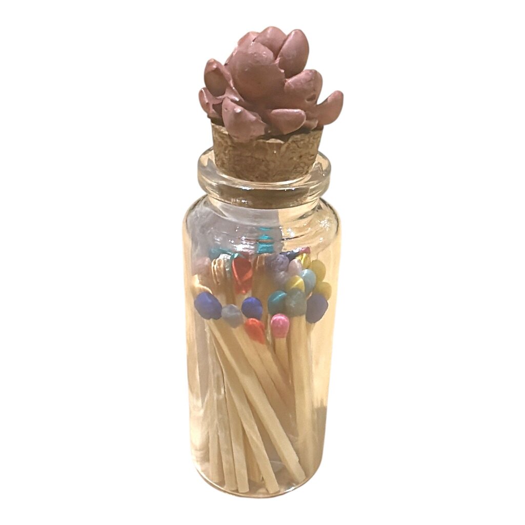 Glass Succulent Match