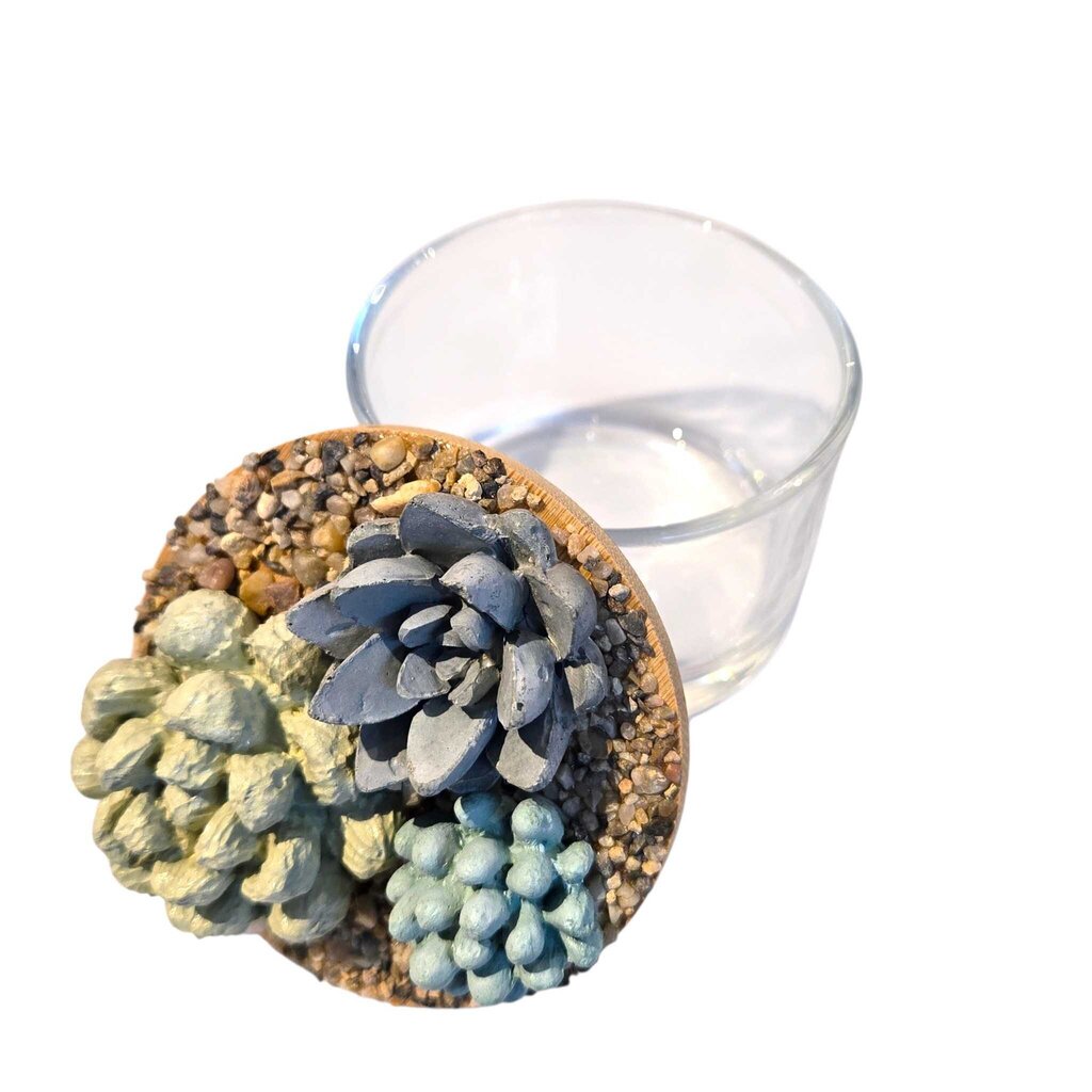 Succulent Garden Jar - 4oz