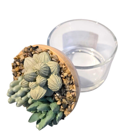 Succulent Garden Jar - 4oz