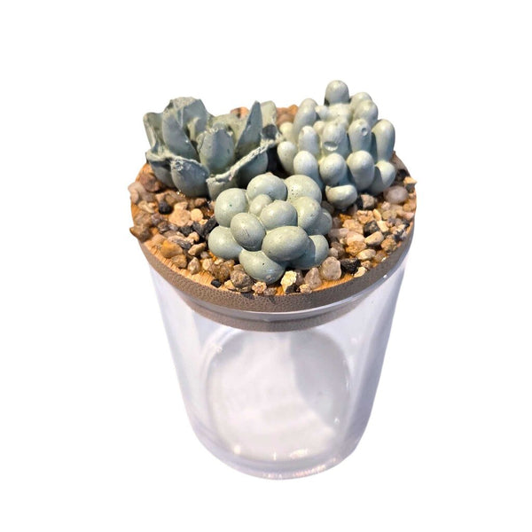 Succulent Garden Jar - 7oz