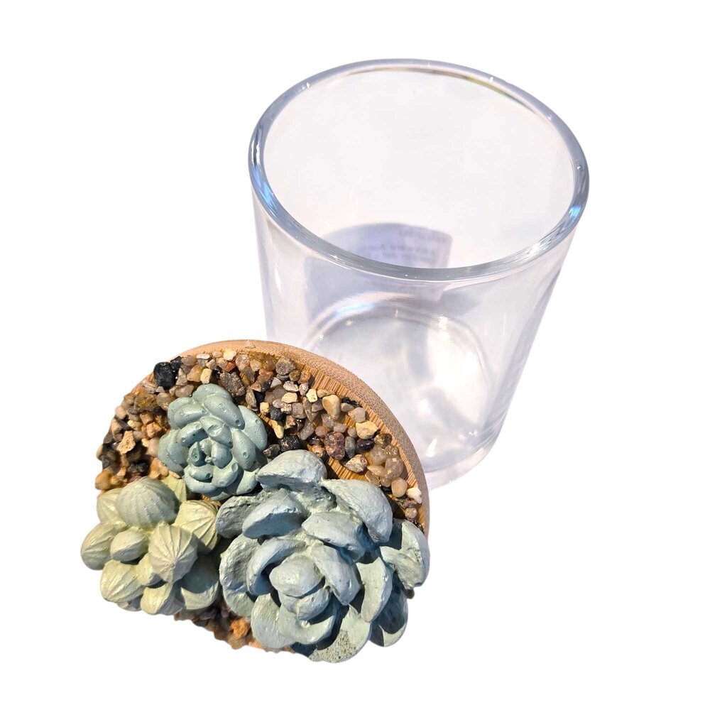 Succulent Garden Jar - 7oz