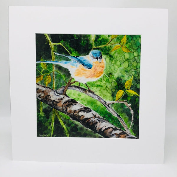 Print- 12x12 Bluebird- matted to 18x18