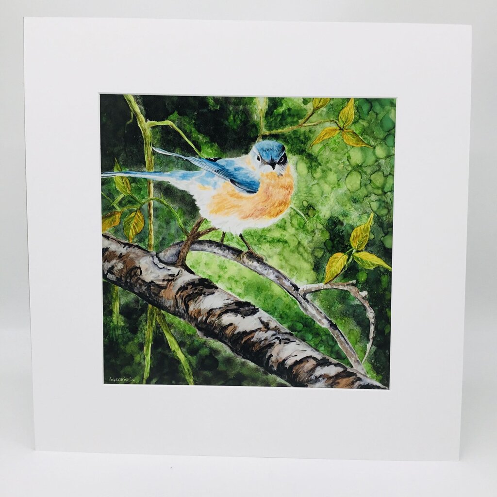 Print- 12x12 Bluebird- matted to 18x18