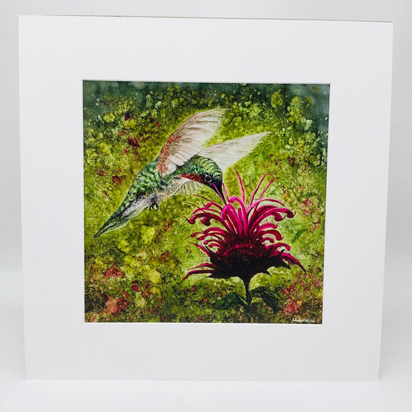 Print- 12x12 Hummer- matted to 18x18