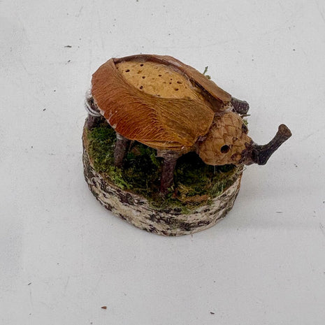 The Beetle Buddy