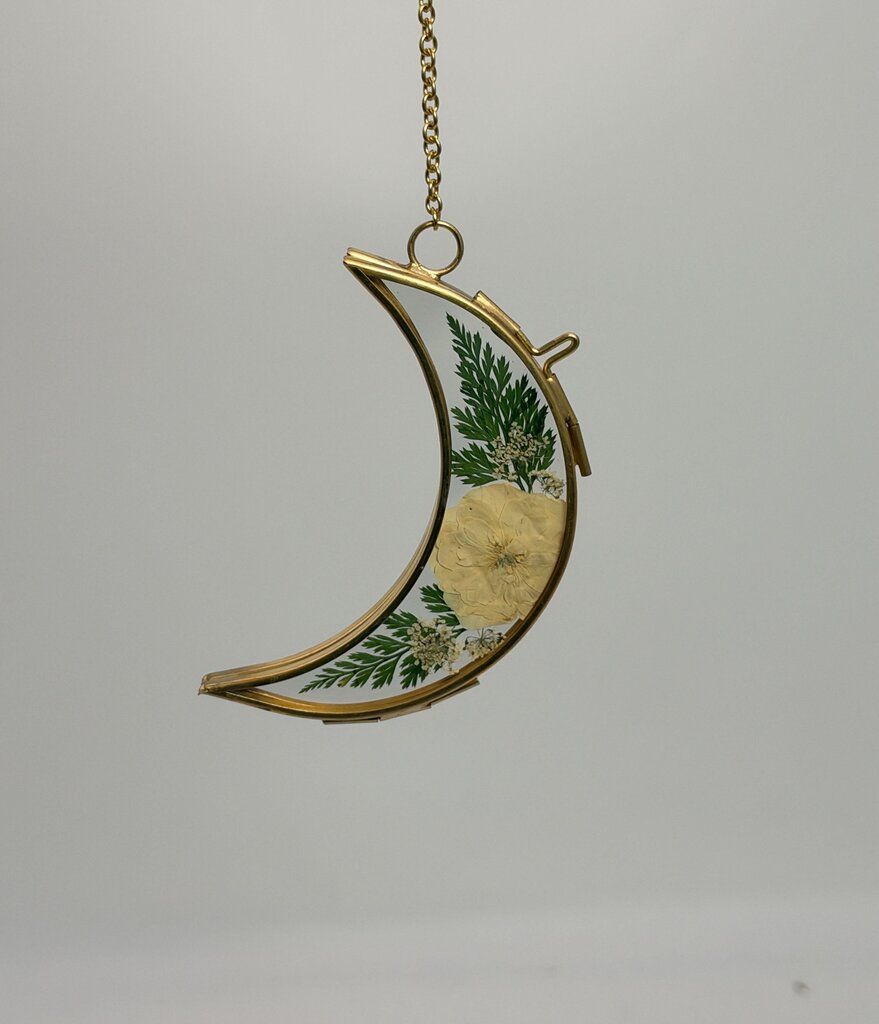 4" Moon w/ Cream Center