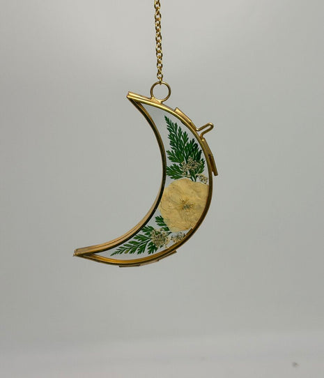 4" Moon w/ Cream Center