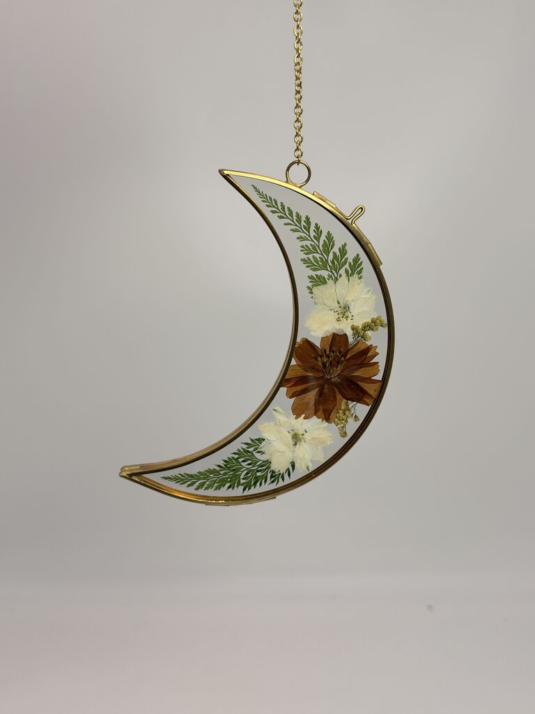 6" Moon w/ Brown Center