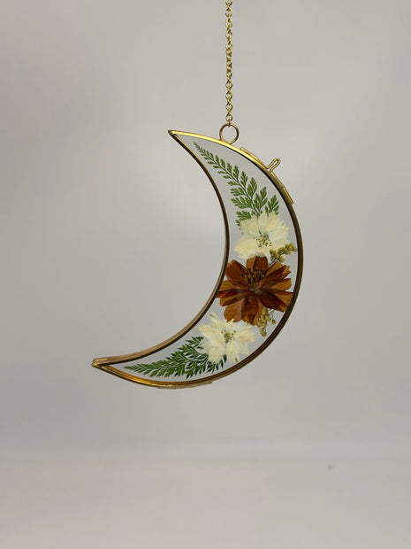 6" Moon w/ Brown Center