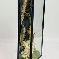 Cicada Curiosity Box - view 3