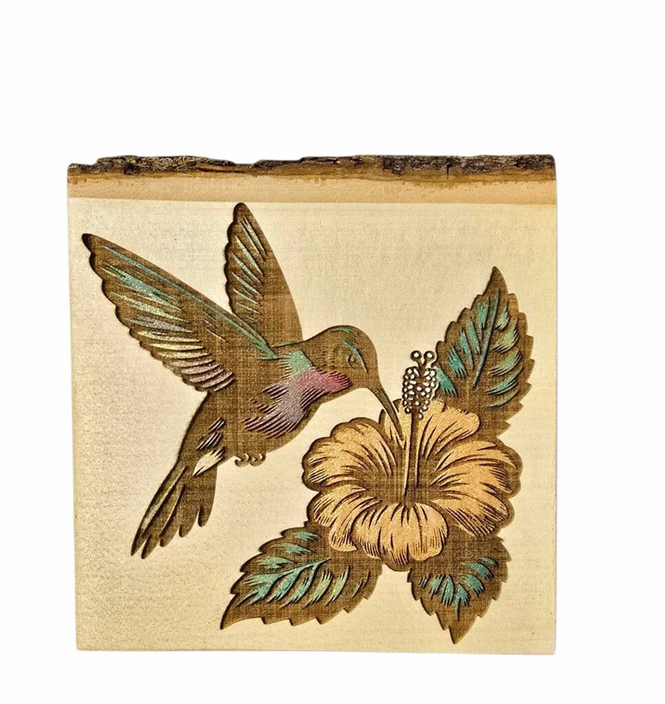 Hummingbird on Flower