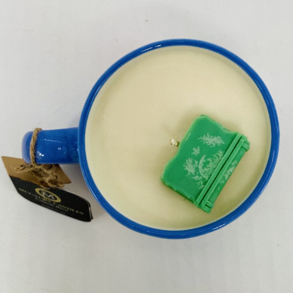 Bookstore (Bookshelf Mug) - Mug Candle - 100% Soy Wax