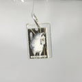 The Avian Tarot Resin Charm The Hermit | Wren