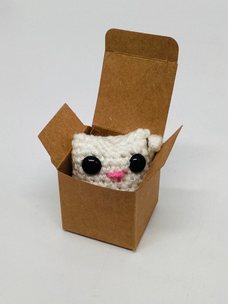 White Cat in a Box