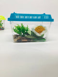 White and Yellow Flower Buddy Desk Pet