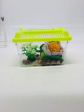 Lavender, Yellow, Mint Flower Buddy Desk Pet