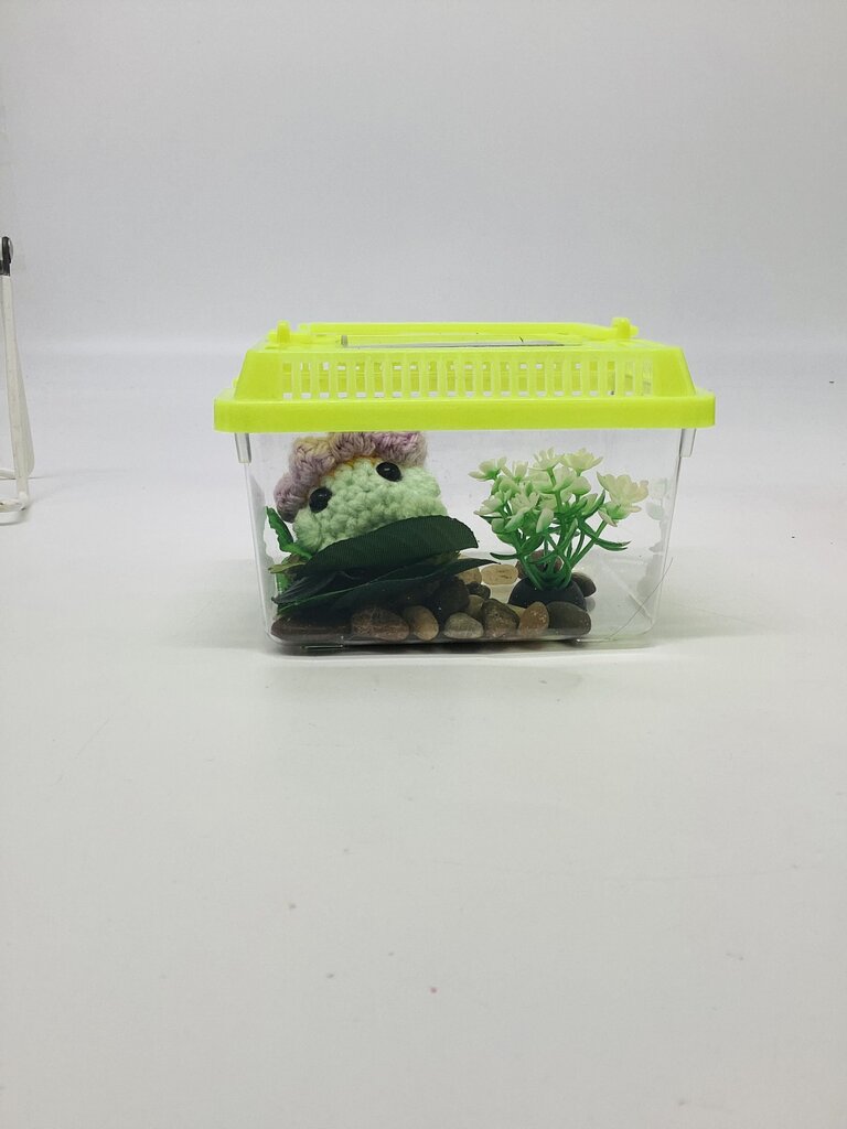 Lavender, Yellow, Mint Flower Buddy Desk Pet