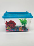 Red Crab Desk Pet