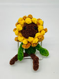 Sunflower Baby