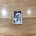 The Avian Tarot Magnet