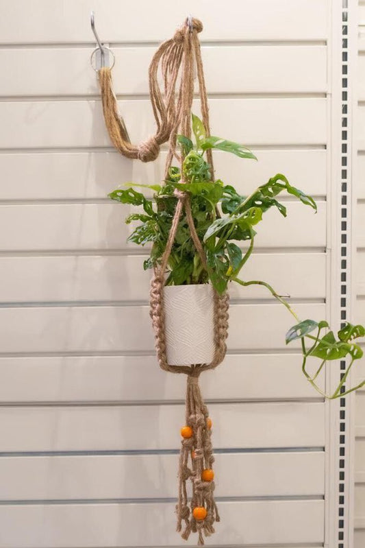 JUTE PLANT HANGER D2